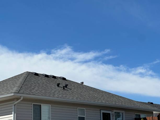 Best Storm Damage Roof Repair  in Angier, NC